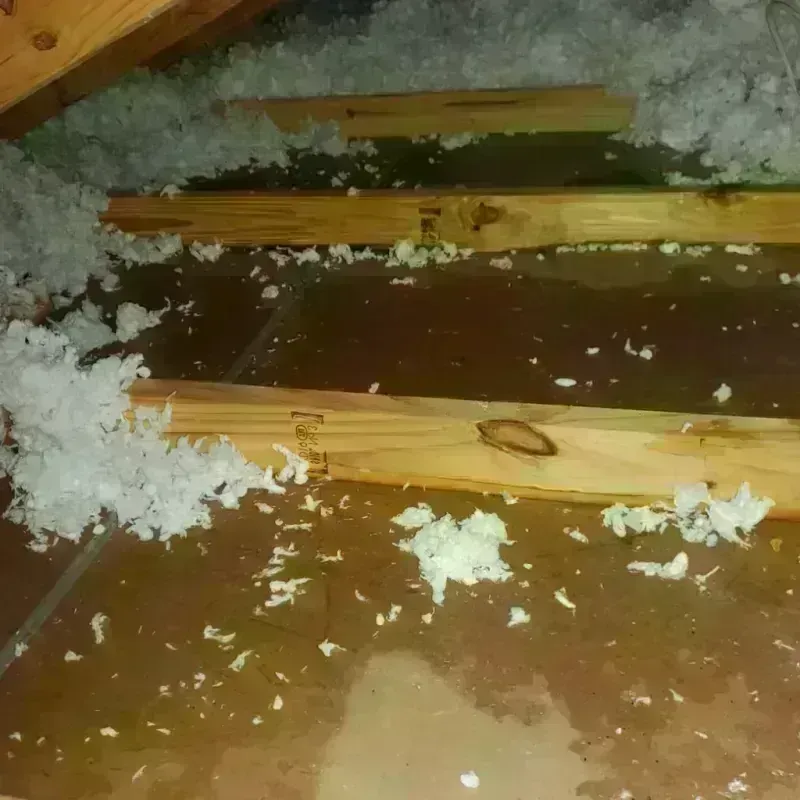 Attic Water Damage in Foscoe, NC